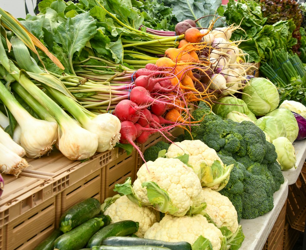 Vitamindskeletal missie visualisatie